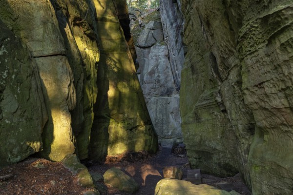 Narrow passage in the sandstone, Mullerthal Trail, hiking trail near Berdorf, Luxembourg, Europe