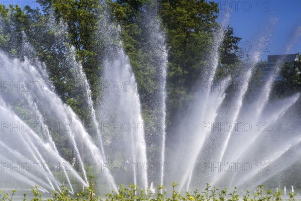 Water fontaine in the park
