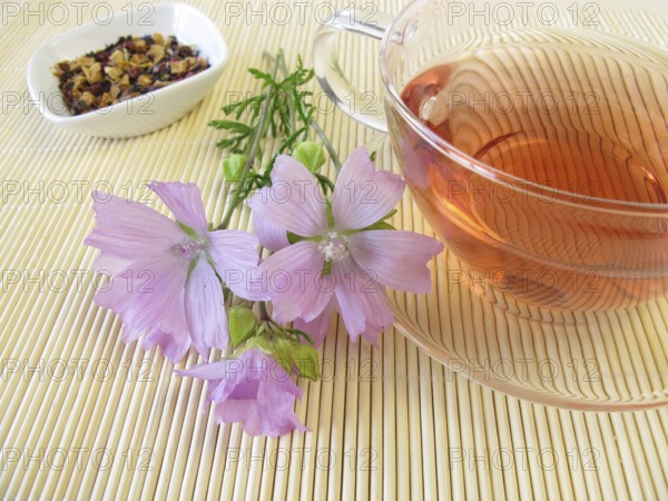 Tea with Common mallow