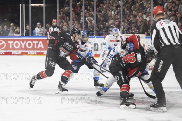 LanxessArena, North Rhine-Westphalia, Louis- Marc Aubry (Cologne Sharks, #15), PENNY DEL, Cologne Sharks-ERC Ingolstadt on 22/11/2024 at the LanxessArena in Cologne Germany