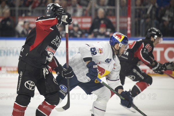 LanxessArena, Cologne, North Rhine-Westphalia, Patrick Hager (EHC Red Bull Munich, #52), Justin Schütz (Cologne Sharks, #10), PENNY DEL, Cologne Sharks-EHC Red Bull Munich on 28/01/2025 at the LanxessArena in Cologne Germany