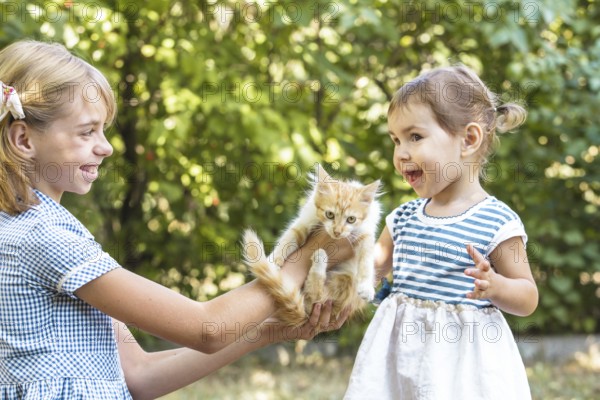 Girls play with kitten outdoor in the park