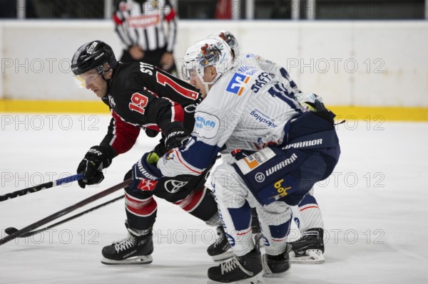 KA2, Cologne, North Rhine-Westphalia, Frederik Storm (Cologne Sharks, #19), PENNY DEL, Test match Cologne Sharks-Iserlohn Roosters on 13/09/2024 at KA2 in Cologne Germany .Photo