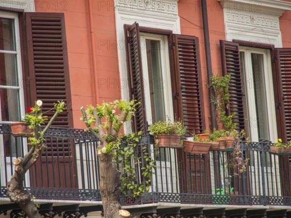 Urban residential buildings with balconies and plants, warm colours and a pleasant living atmosphere, palermo, sicily, mediterranean, italy