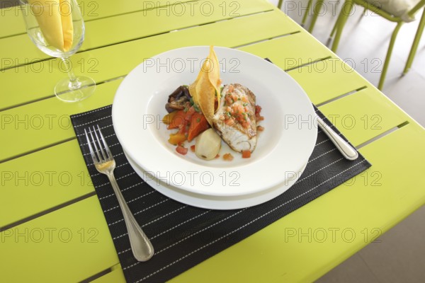 Restaurant menu. Dishes which give at restaurants. Salads, second courses, pizza and other