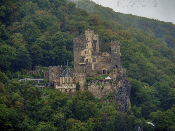 A medieval castle sits majestically on a hill, surrounded by dense forest and light fog, bingen, rhine, germany