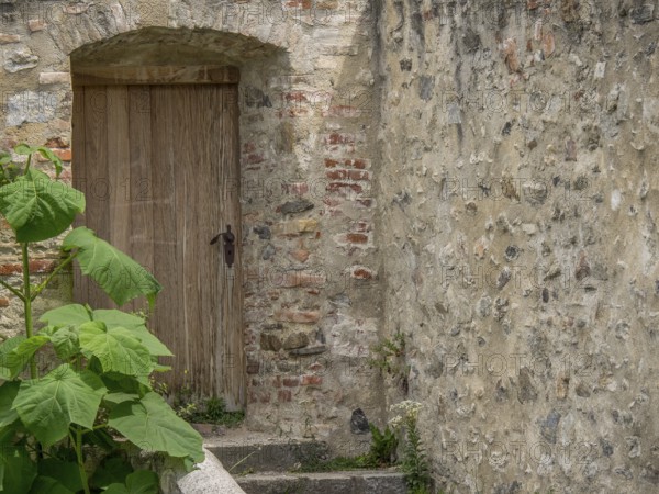 An old wooden gate in a stony wall with plants and a rustic atmosphere, Dürnstein, Wachau, Danube, Austria, Europe