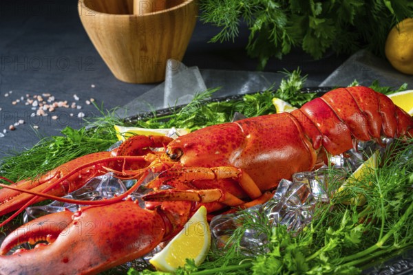 The cooked lobster on ice