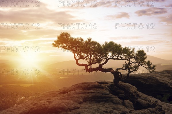 Beautiful sunrise in Saxon Switzerland
