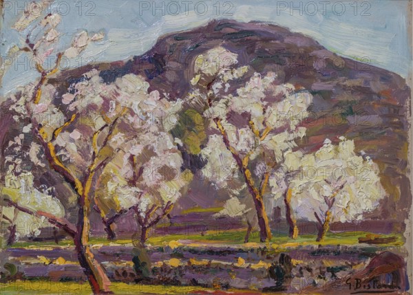 Ametllers de Pollença, Guillem Bestard, oil on canvas, pollensa museum, Majorca, Balearic Islands, Spain, Europe