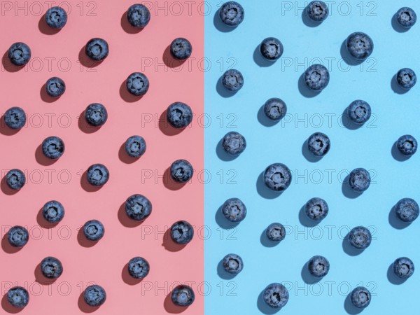 Blueberry pattern. Minimalistic concept. Top view or flat lay. Blueberries staggered on two colors background. Pink and blue minimalistic background