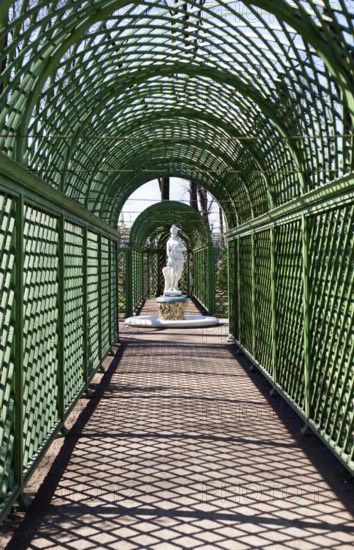 Alley of the Summer Garden in St. Petersburg, Russia, Europe