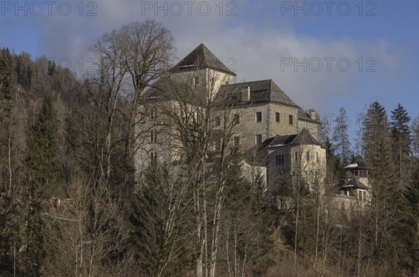 Fischhorn Castle, Bruck an der Großglocknerstrasse, Wald, Pinzgau