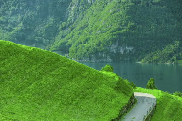 Country road on the side of a green grassy hill, with the lake and swiss forest in the background. Picture taken in a small village called Unterterzen, Switzerland, Europe
