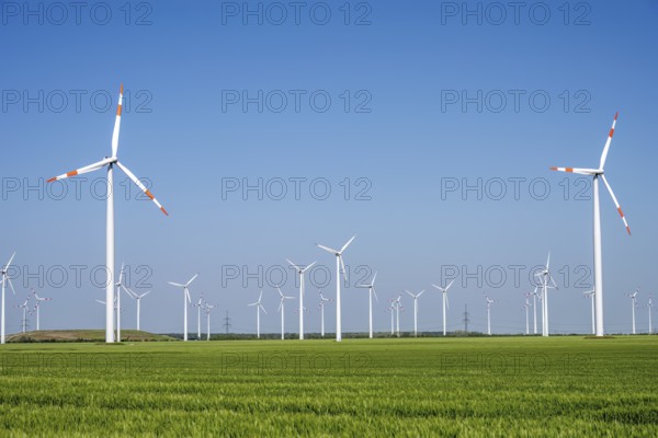 Wind farm with many turbines seen in Germany