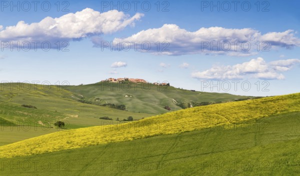 Tuscany landscape between Siena and Asciano, Crete Senesi, Italy, Europe