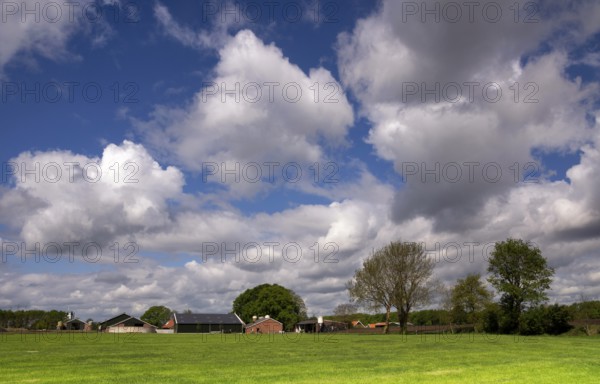 Landscape with farm buildings under large white clouds near the Dutch village Bornerbroeknear Bornerbroek