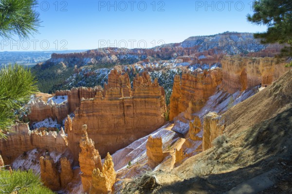 Snow topped Bryce canyon with hoodoos on a sunny day during golden hour, national park, Utah, USA, North America