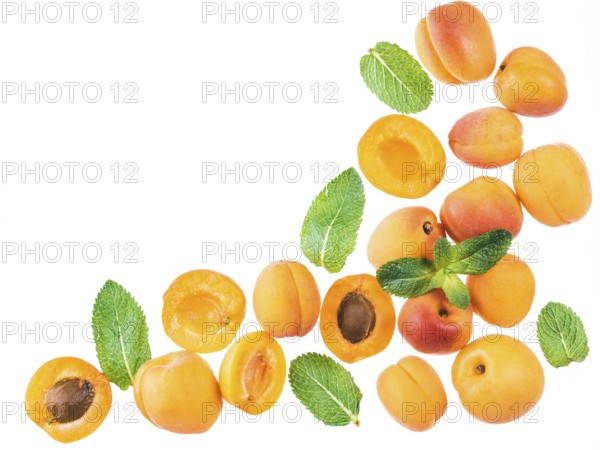 Apricot and mint, isolated, top view, copy space