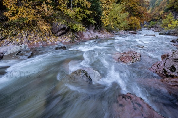 Aragón Subordán river, Selva de Oza, Valley of Hecho, western valleys, Pyrenean mountain range, province of Huesca, Aragon, Spain, Europe