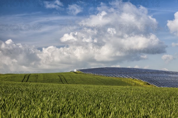 Silicon solar energy panels on green corn field