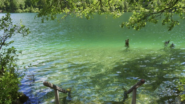 Emerald-green Lake Thumsee in Berchtesgaden National Park