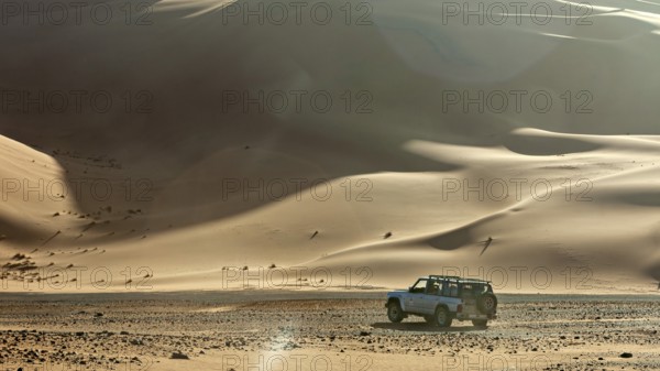 An off-road vehicle drives through softly lit dunes in a vast desert landscape, Off-road vehicle driving through the dry desert, a tree in the foreground, With off-road vehicle through the Sahara desert in Algeria