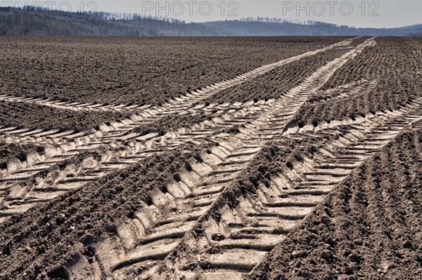 Tractor tracks, agricultural trails at a cultivated field in springtime, farmland near Wesertal, Weser Uplands, Weserbergland, Hesse, Germany, Europe