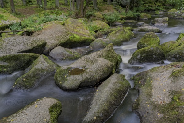 Water flowing between moss-covered rocks in a dense forest, Waldnaabtal, Upper Palatinate