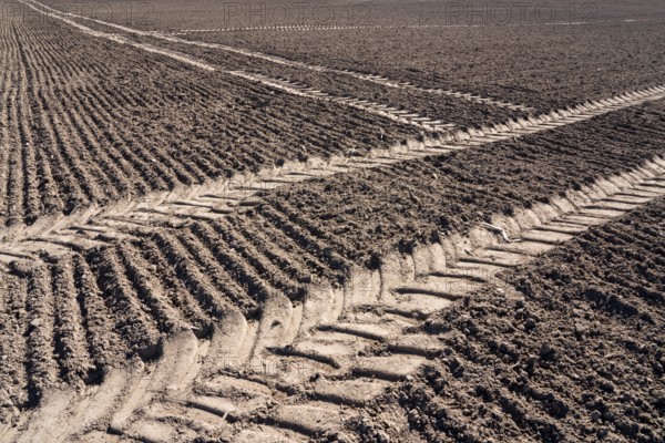 Tractor tracks, agricultural trails at a cultivated field in springtime, farmland near Wesertal, Weser Uplands, Weserbergland, Hesse, Germany, Europe