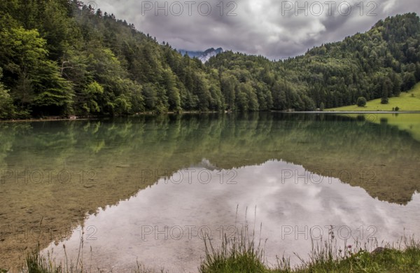 Alatsee, natural lake west of Füssen in the district of Ostallgäu. The lake is up to 35m deep and has a pink-coloured layer of purple sulphur bacteria at a depth of 15-18m, which is the most pronounced in freshwater lakes in the world. The Alatsee near Füssen in the Allgäu. The lake is famous from the Kluftinger thriller Seegrund