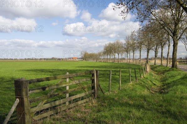 Rural landscape with meadows and fence