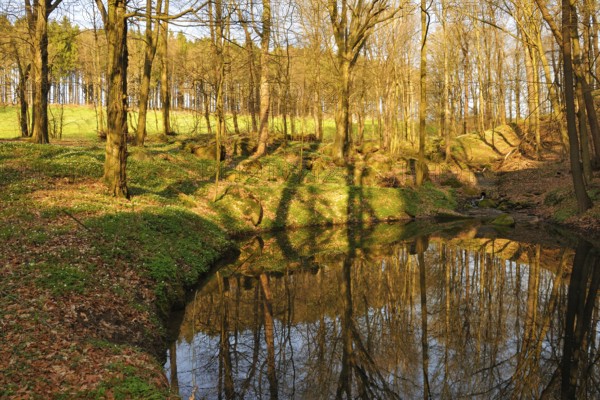 Spring in Sohland an der Spree. Spring in the Upper Lusatia