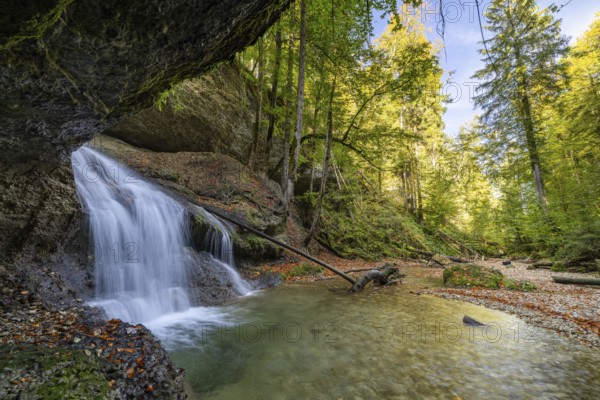 Picturesque waterfall in the middle of a tranquil forest with clear skies and surrounding rocks and trees, Hasenreuter Wasserfall, Scheidegg, Bavaria, Germany, Europe
