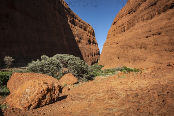 Kata Tjuta, formerly The Olgas, Walpa Gorge Area, Uluru-Kata Tjuta National Park, Northern Territory, Australia, Oceania