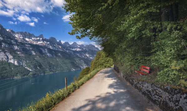 Alley near Walensee lakeshore, with a view to the snow-capped peaks of the Swiss Alps mountains in St. Gallen Canton, Switzerland. Europe places