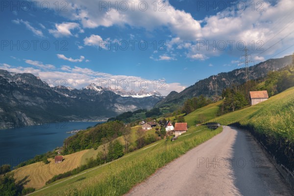 Spring landscape with country road toward a village, near Walensee lake and the Alps mountains, under blue sky, in St. Gallon Canton, Switzerland, Europe