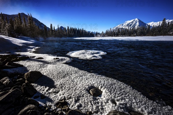 Snowy lake with mountains and forest under a clear blue sky, Yukon, Canada, North America