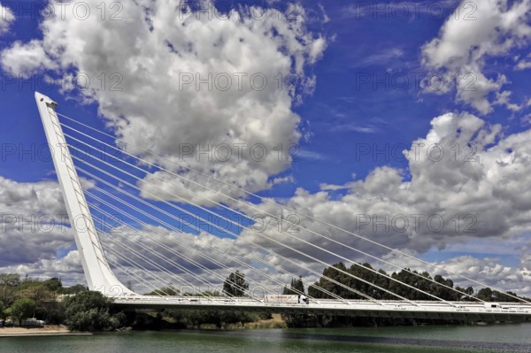 Puente del Alamillo, Alamillo Bridge, over the Guadalquivir River, built as part of the infrastructure improvements for Expo 92, Seville, Spain, Andalusia, Europe, cable-stayed bridge over river in front of a sky with clouds, Europe