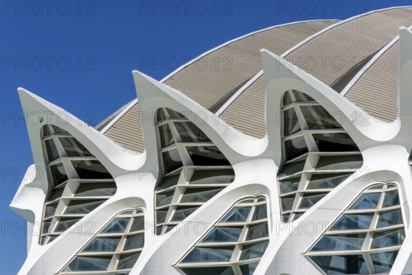 Detail of the roof of the white futuristic building of the science museum Prinz Philip (Museu de les Ciències) with blue sky in the background in the ultra-modern science complex in a landscaped park Ciudad de las Artes y de las Ciencias, Quatre Carreres, Valencia, Autonomous Community of Valencia, Province of Valencia, Spain, Europe