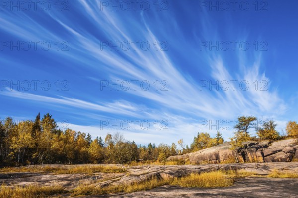 Walk on the park in warm silent day. The concept of ecological and recreational tourism. Cirrus clouds in Pinawa Provincial Heritage Park