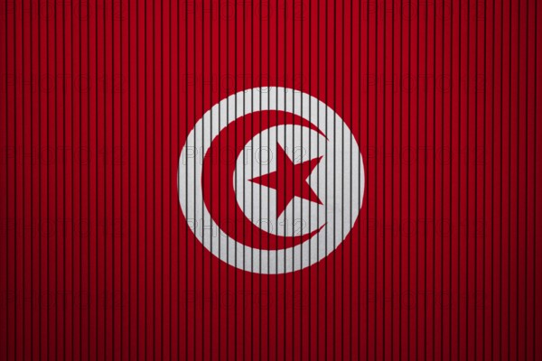 Tunisia Flag painted on the cracked grunge concrete wall
