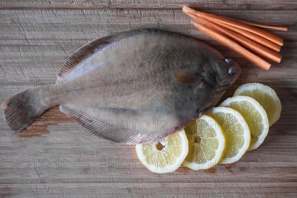 Fresh flounder with lemon and carrot