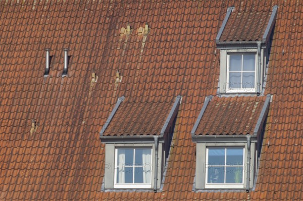 Close-up view of a sloped roof featuring red clay tiles, three dormer windows, and two chimneys