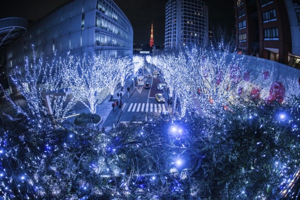 Christmas illuminations of Roppongi image. Shooting Location: Tokyo metropolitan area