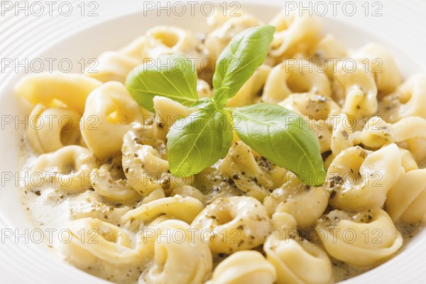 Delicious dish of tortellini with pesto in white plate