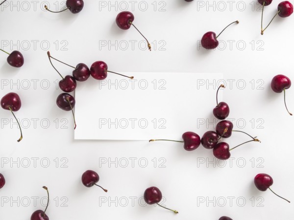 Creative layout with fresh ripe berries. Cherry isolated on white background with white rectangle for copy space. Can use for your design, promo, social media. Top view