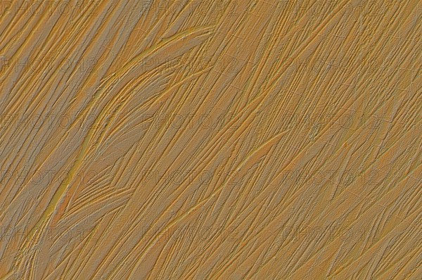 Patterns in a tree trunk
