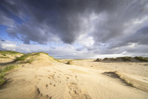 In the dunes of the Danish North Sea island of Rømø