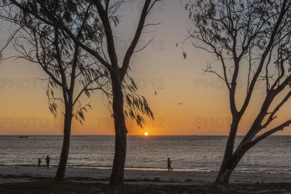 People enjoying the sunset on the beach, Lancelin, Western Australia, Australia, Oceania
